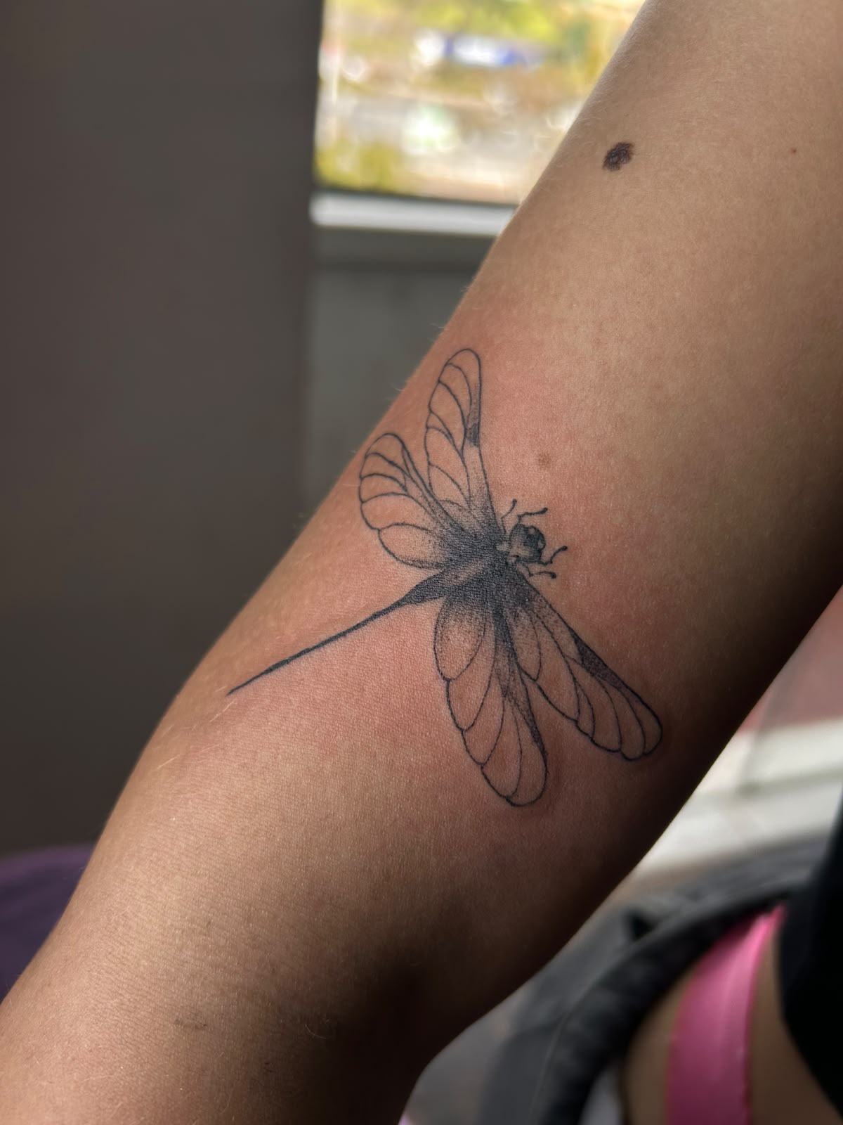 Tatuagem delicada de libélula no braço